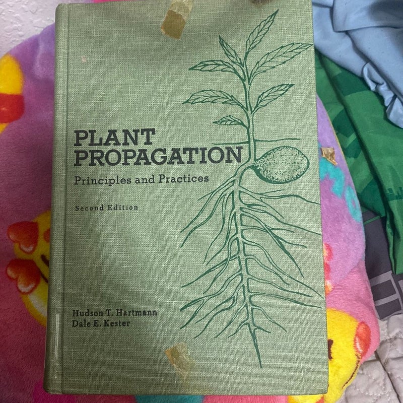 Plant propagation 