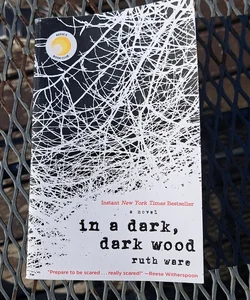 In a Dark, Dark Wood