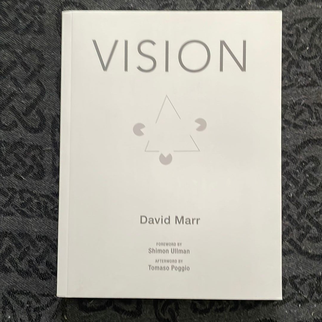 Vision