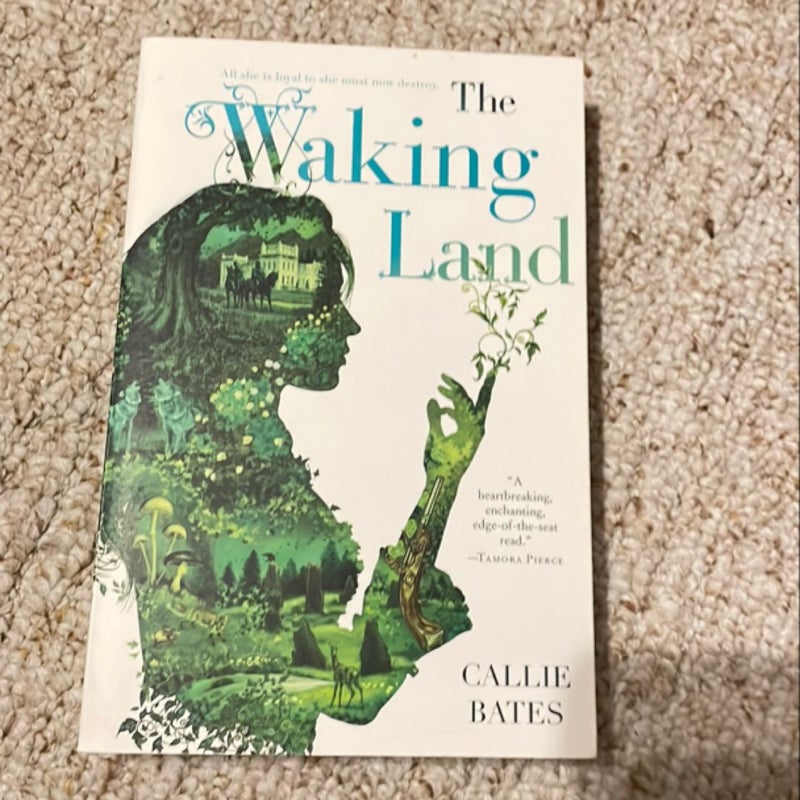 The Waking Land