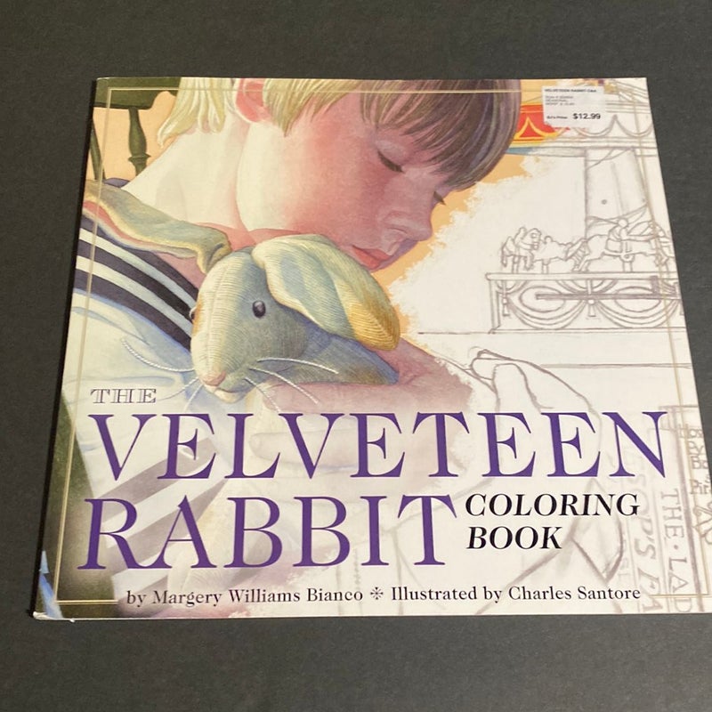 Velveteen Rabbit Coloring Book by Charles Santore, Paperback | Pangobooks