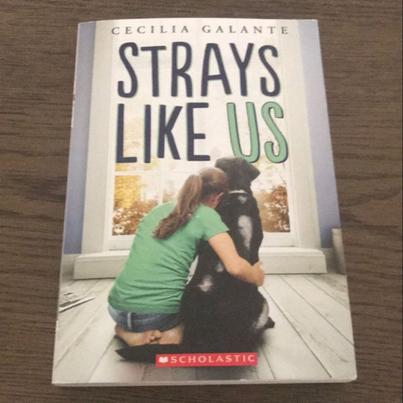 Strays Like Us