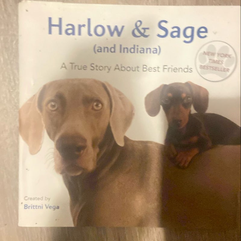 Harlow and Sage (and Indiana)