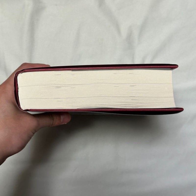 Little Thieves hardcover