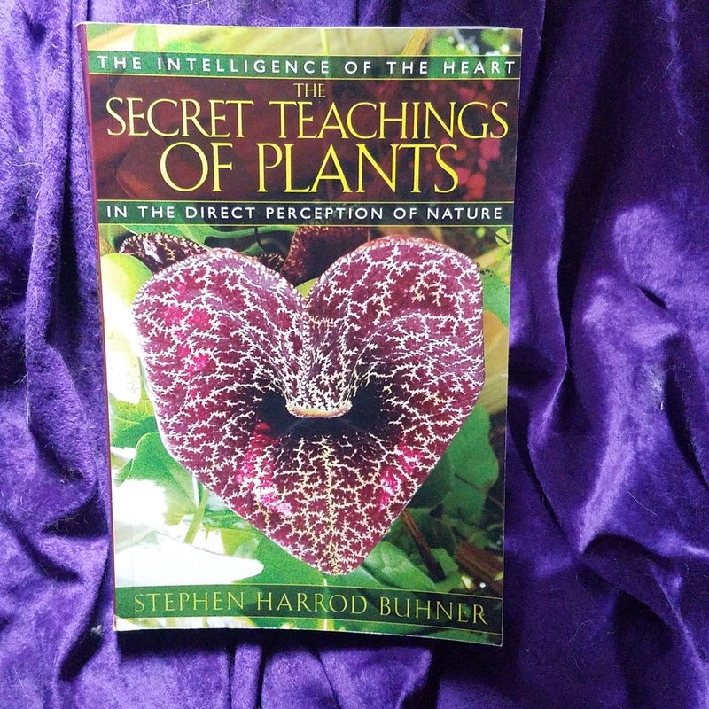 The Secret Teachings of Plants