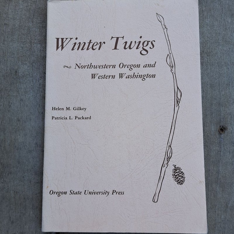 Winter Twigs