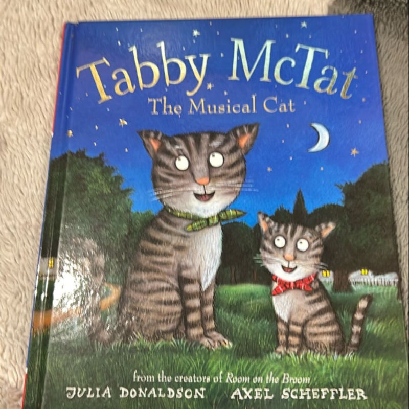 Tabby Mctat the musical cat