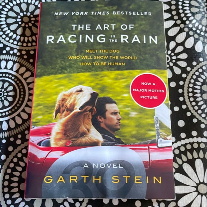 The Art of Racing in the Rain Tie-In