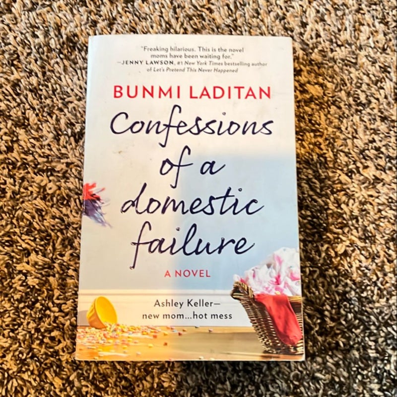 Confessions of a Domestic Failure