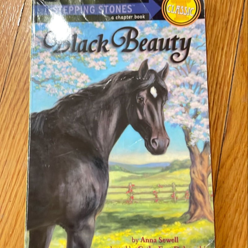 Black Beauty