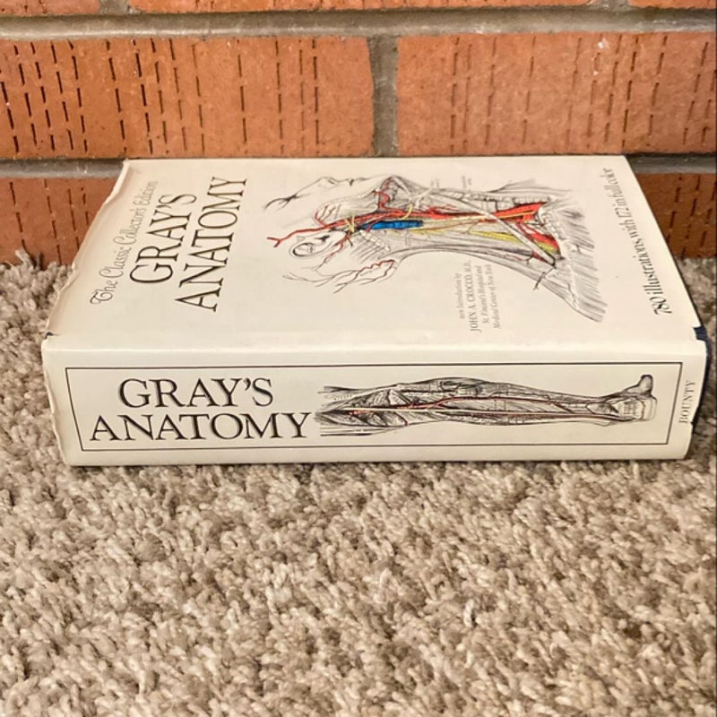 Gray's Anatomy