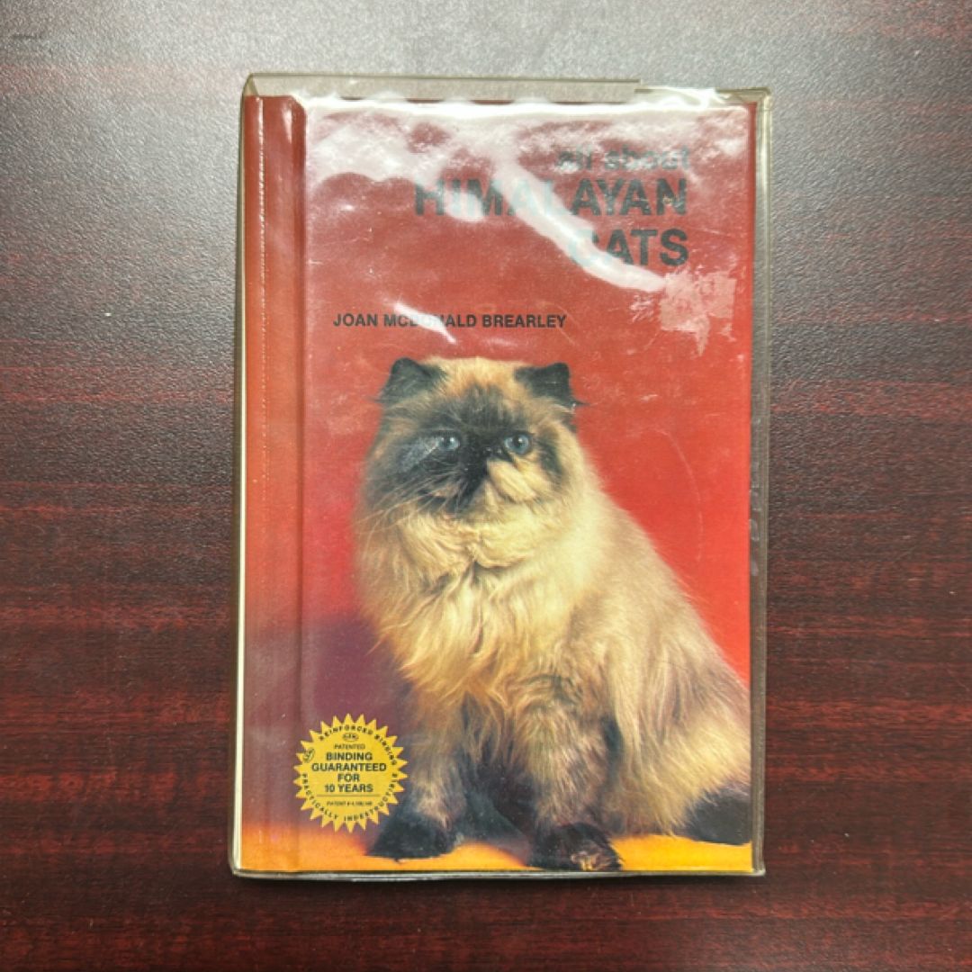 All about Himalayan Cats