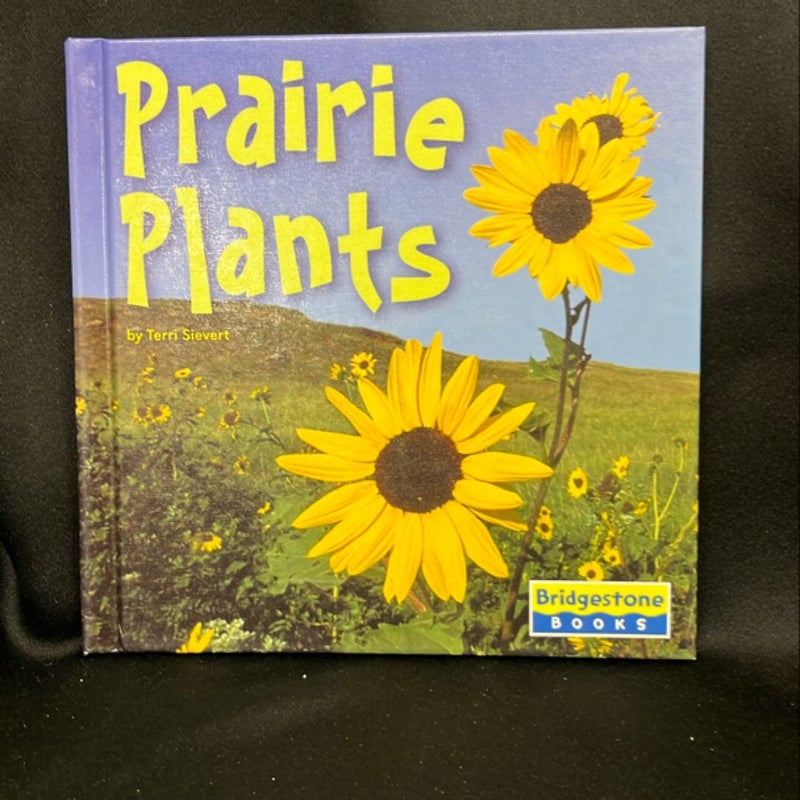 Prairie Plants