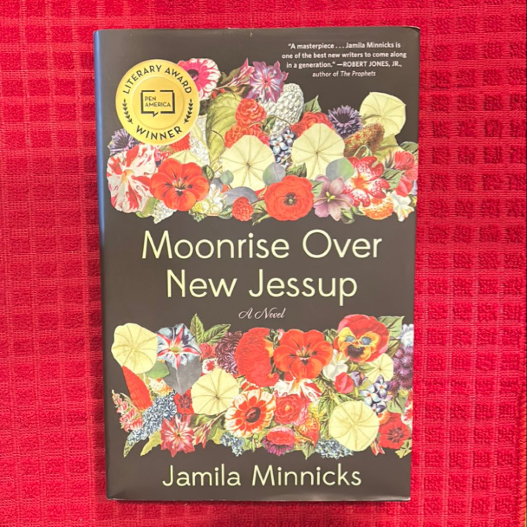 Moonrise over New Jessup