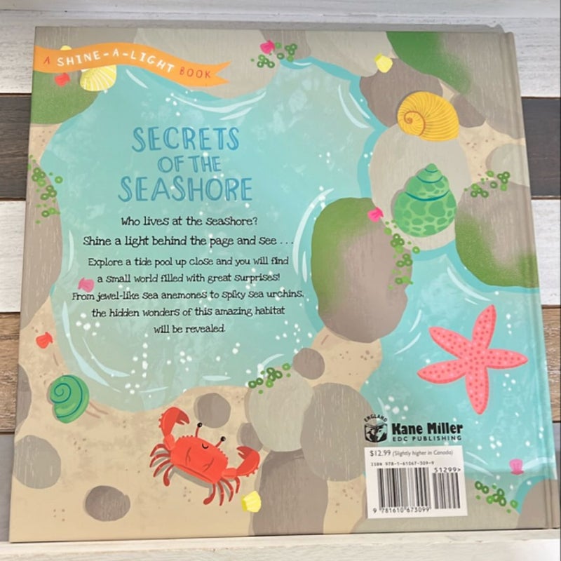 Secrets of the Seashore