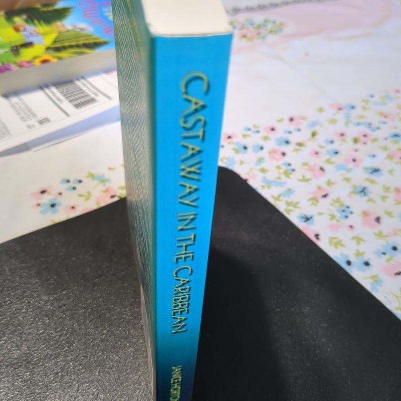 Castaway in the Caribbean