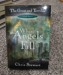 Where Angels Fall