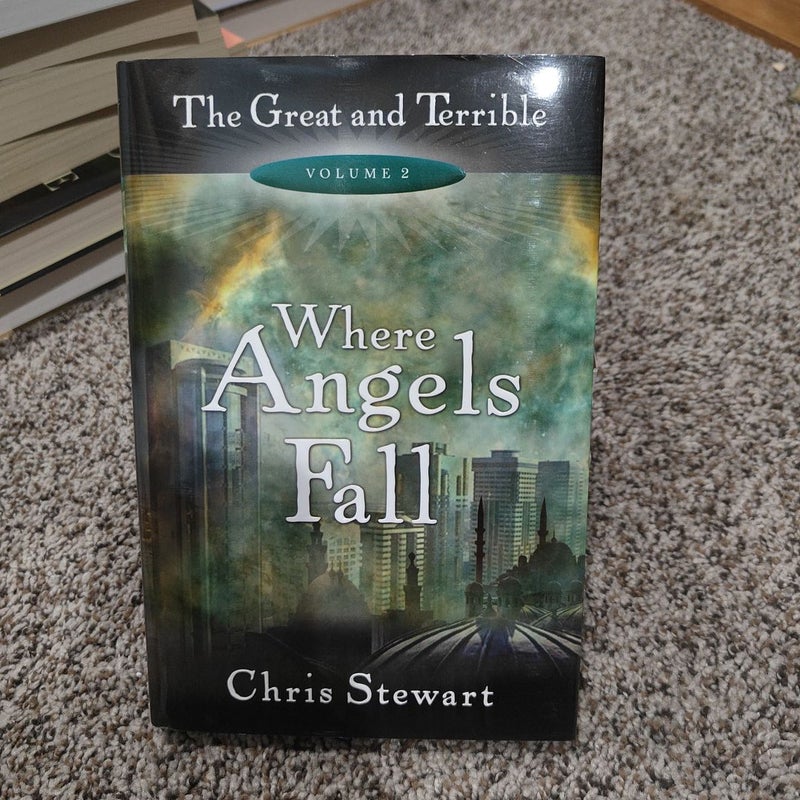 Where Angels Fall