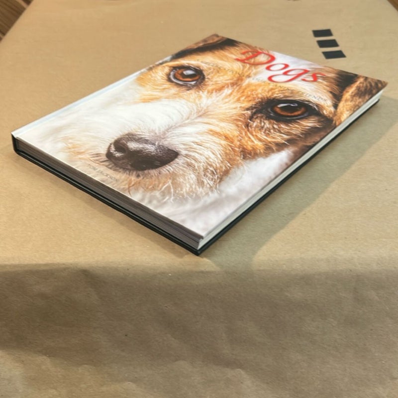 Dogs