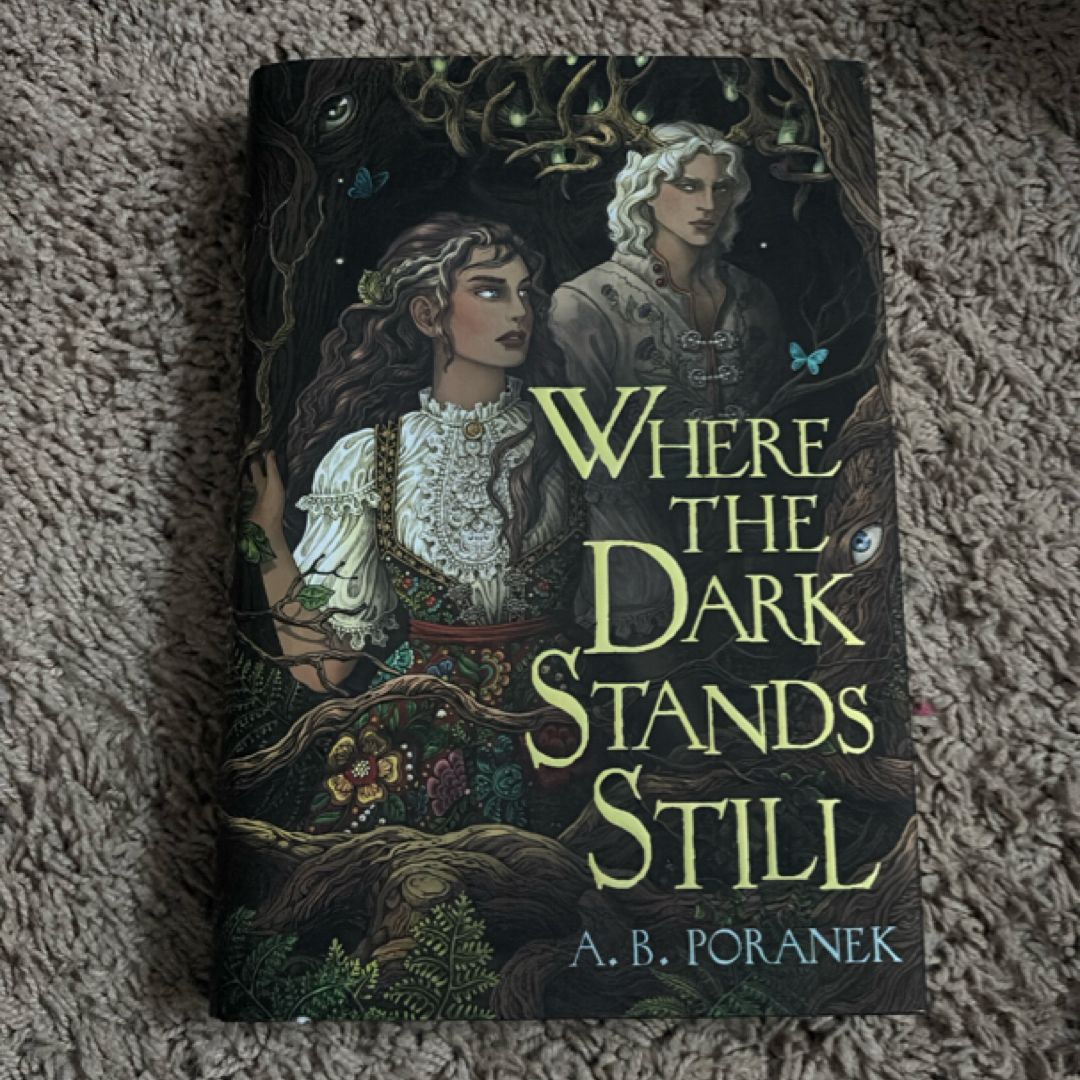 Where the Dark Stands Still