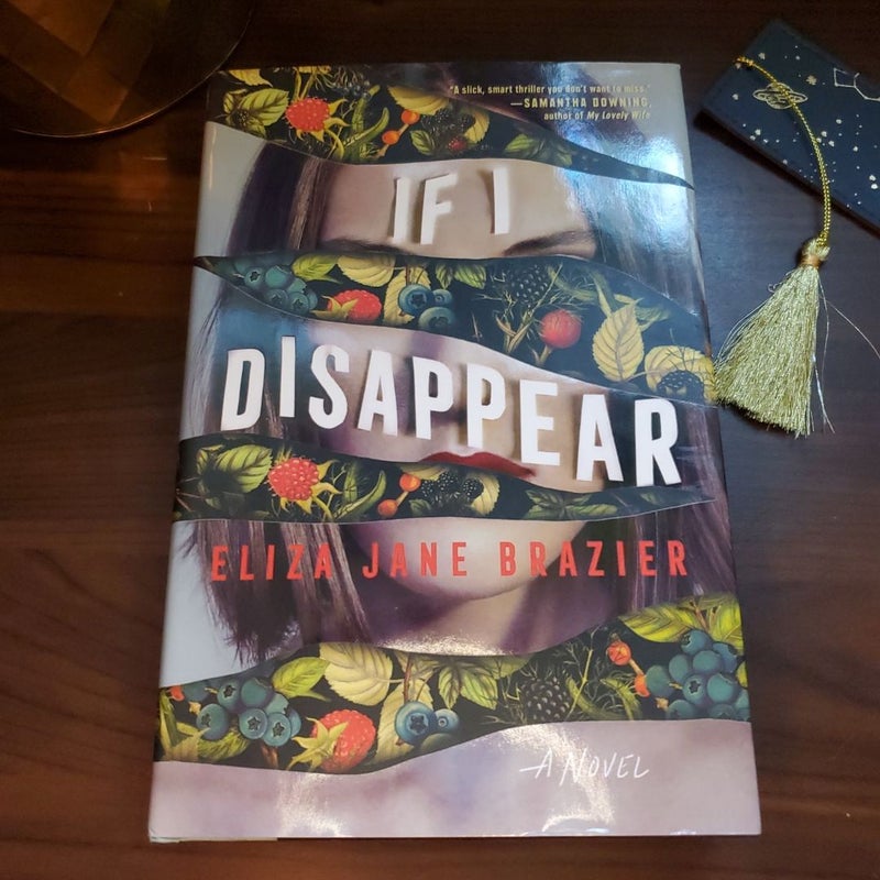 If I Disappear