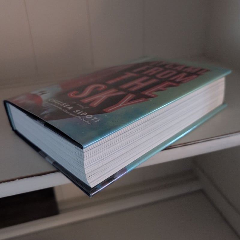 It Came from the Sky