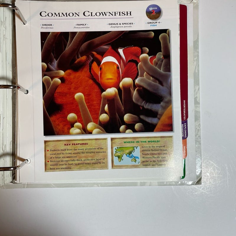 Wildlife Explorer Binder — Groups 1-8 with  100+ Cards & Tabs, Published 1998