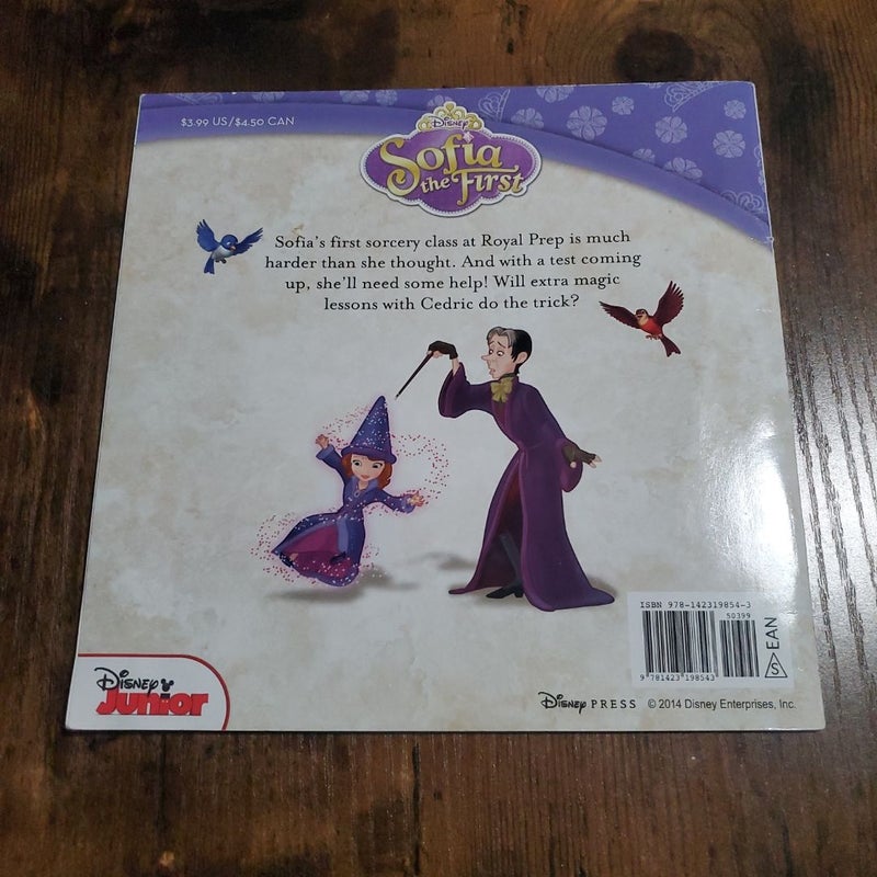 Sofia the First Sofia's Magic Lesson