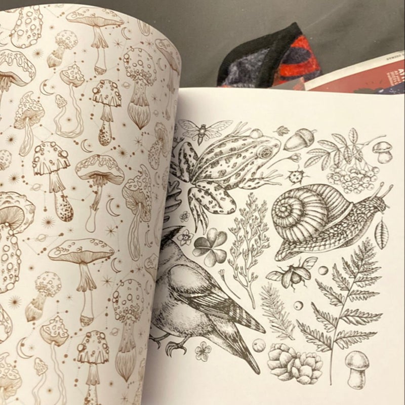 Goblincore Coloring Book