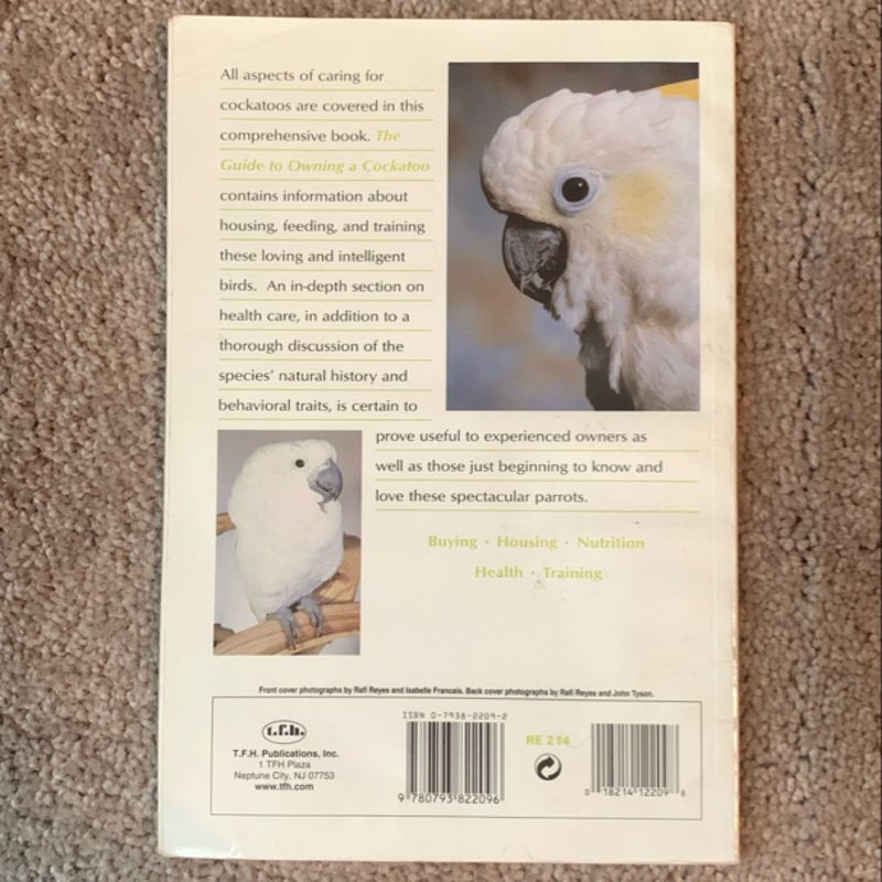 The Guide to Owning a Cockatoo