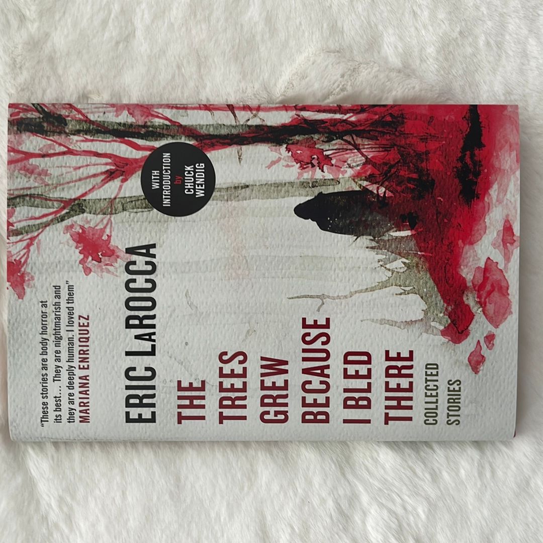 Sale image for 693bae17-24f4-483d-83f3-c3b2b7c97111-0Sq8DP7av8eeQnmrQKi2qX1CsOp1