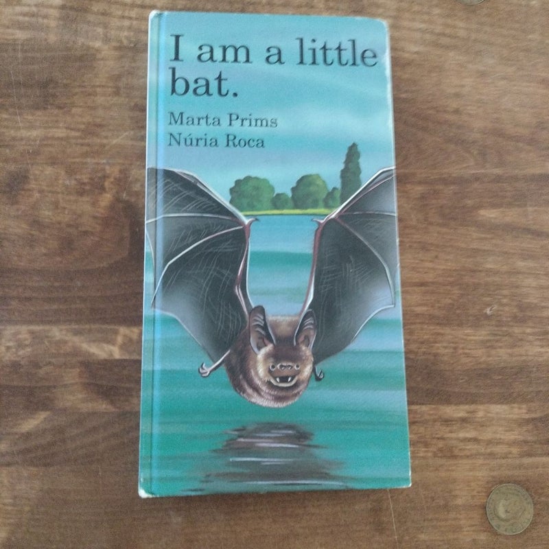 I Am a Little Bat