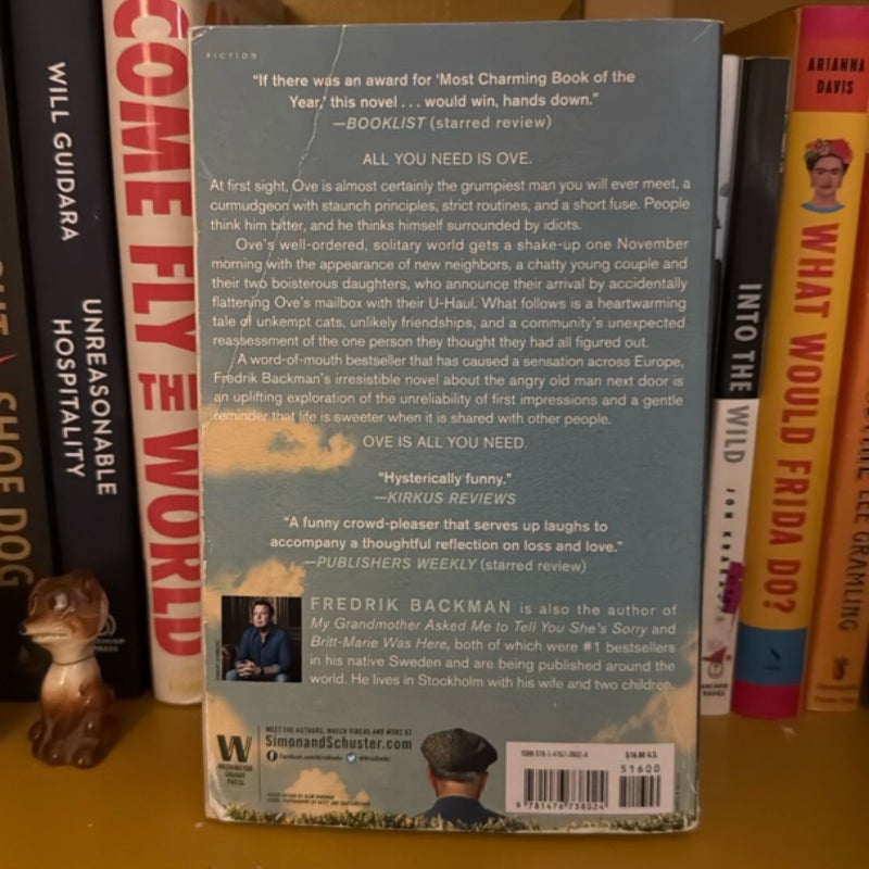 A Man Called Ove