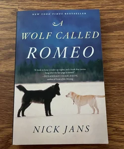 A Wolf Called Romeo