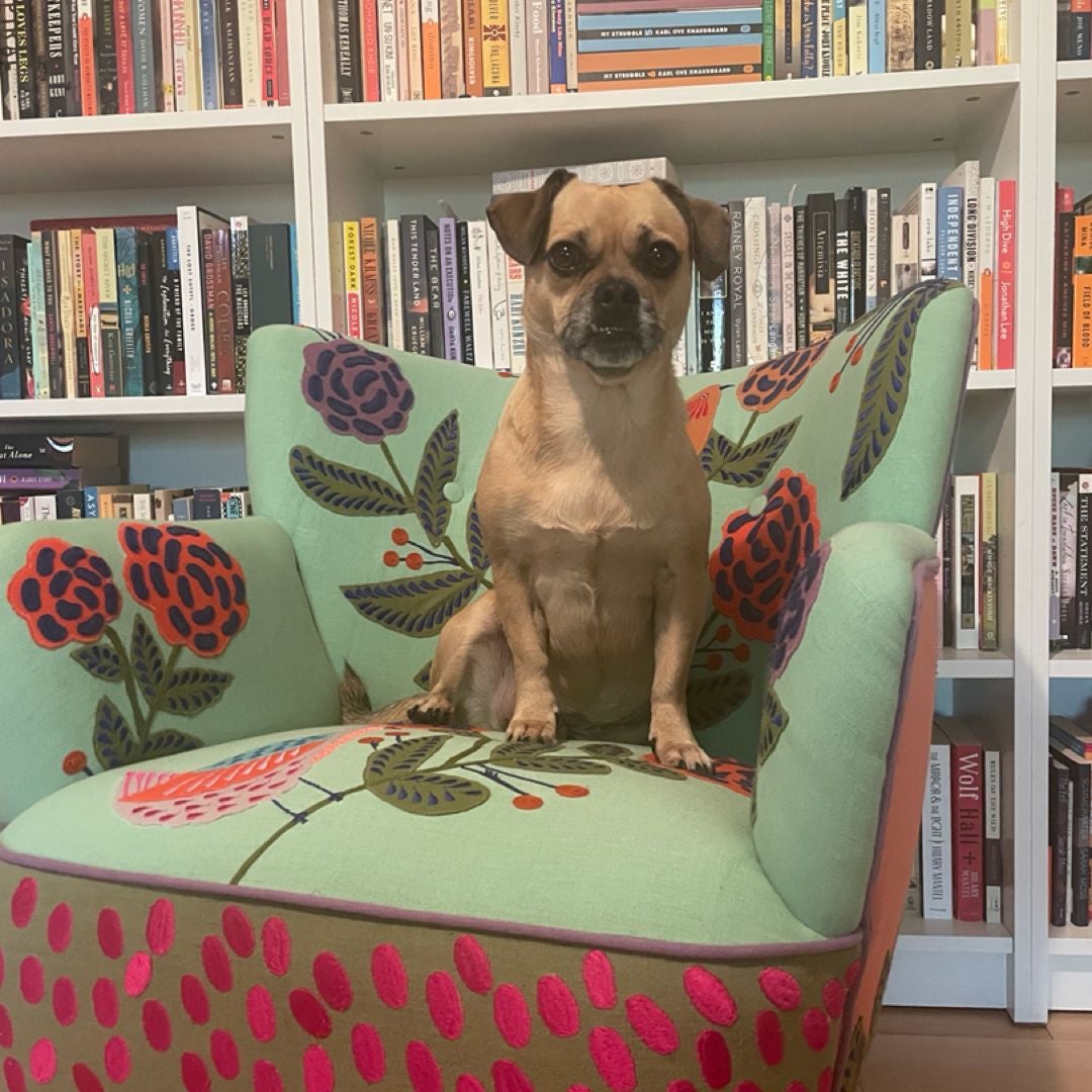 Bookwild