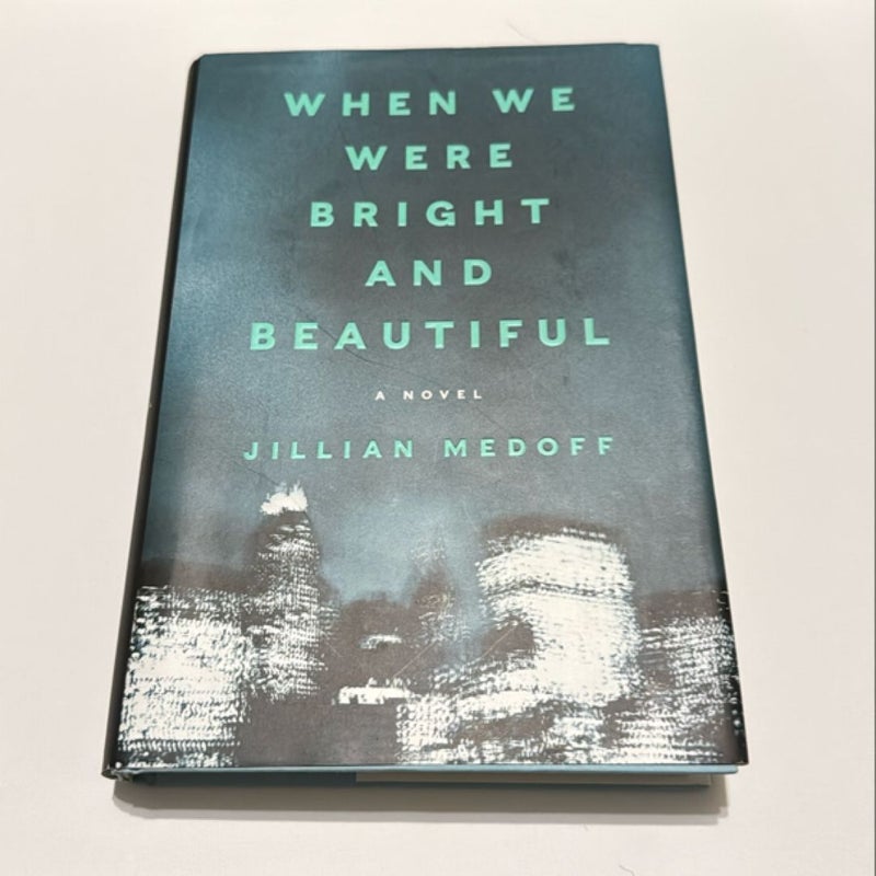 When We Were Bright and Beautiful