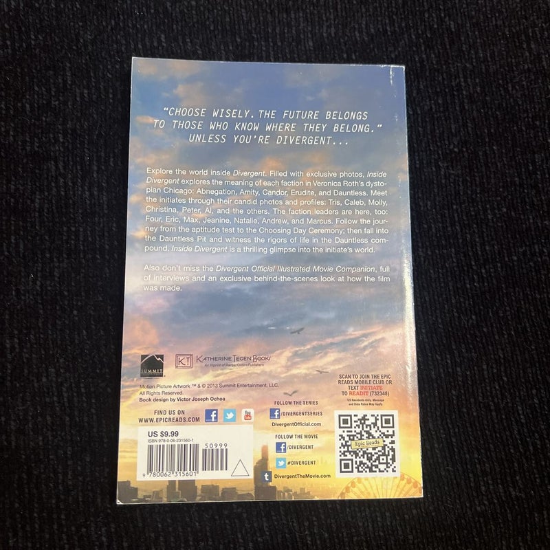 Inside Divergent: the Initiate's World
