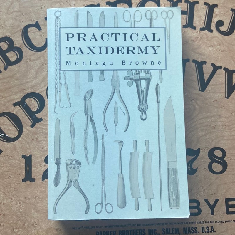 Practical Taxidermy - a Manual of Instru