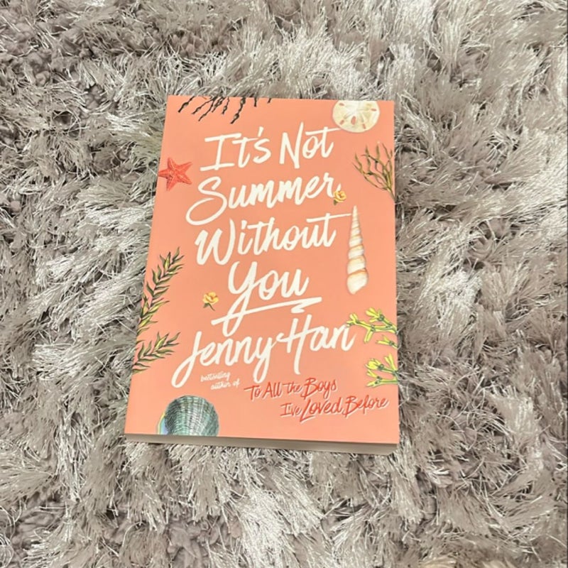 It's Not Summer Without You