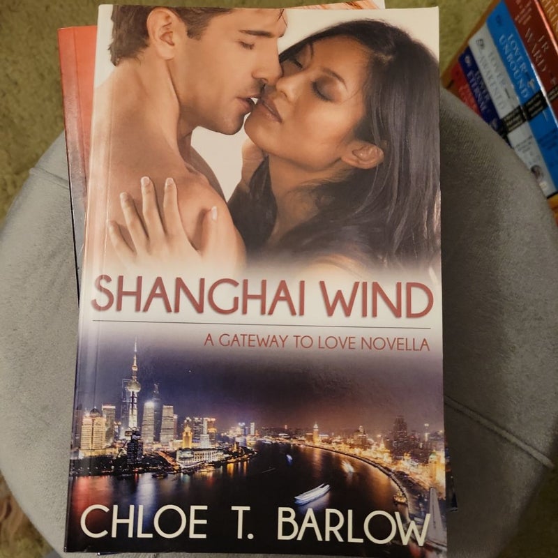 Shanghai Wind: a Gateway to Love Novella