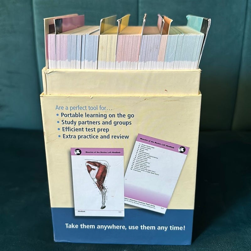 Saunders Veterinary Anatomy Flash Cards