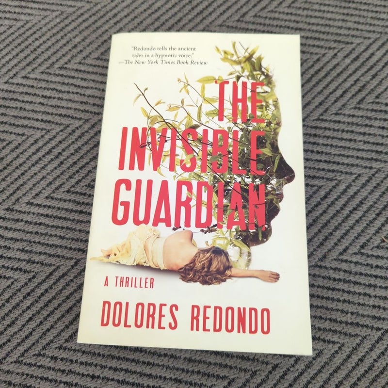 The Invisible Guardian
