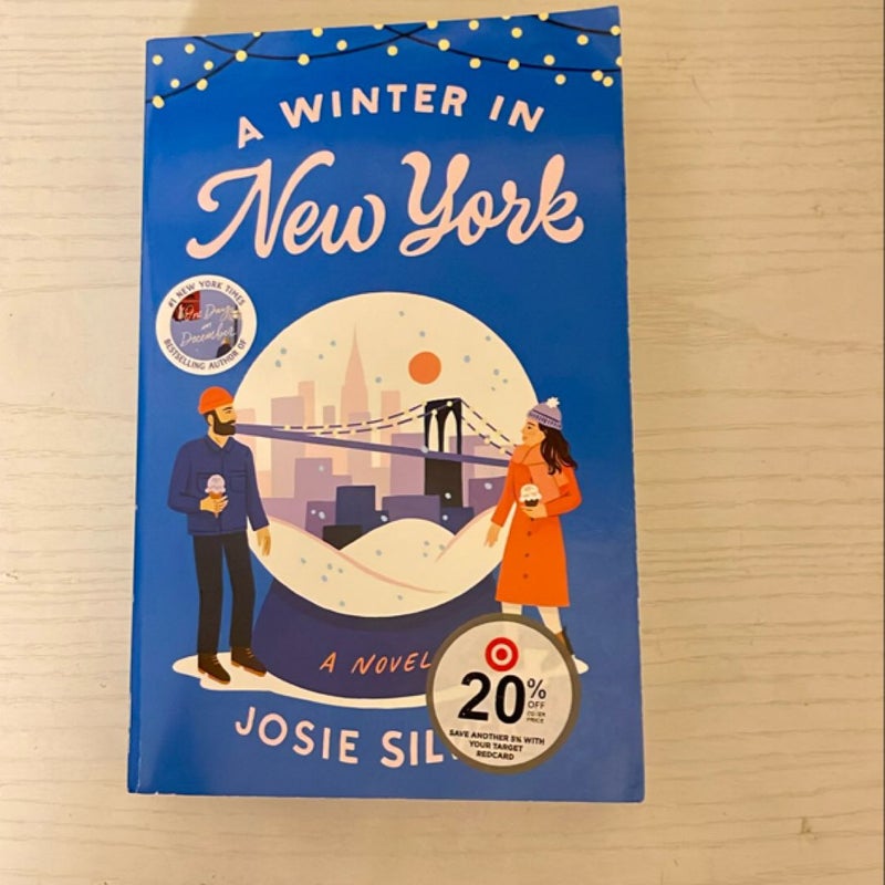 A Winter in New York