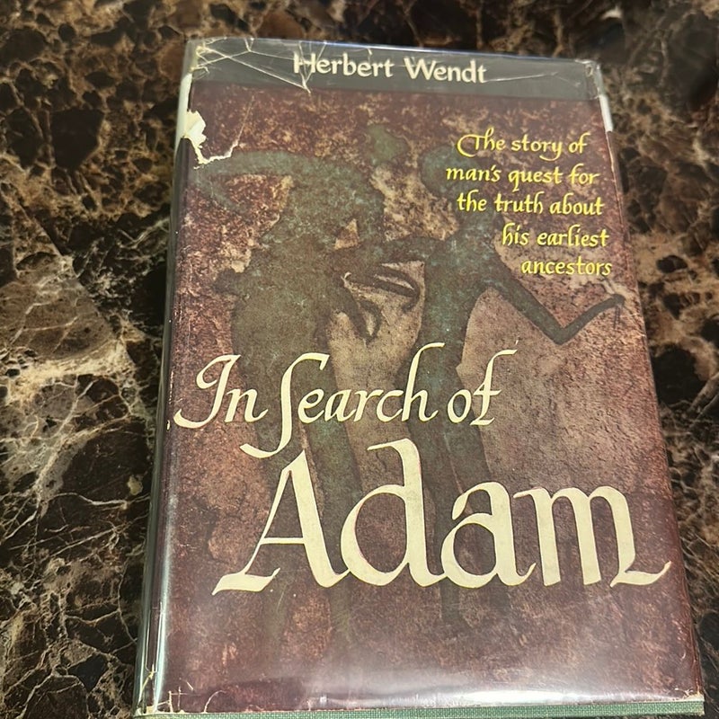 In Search of Adam