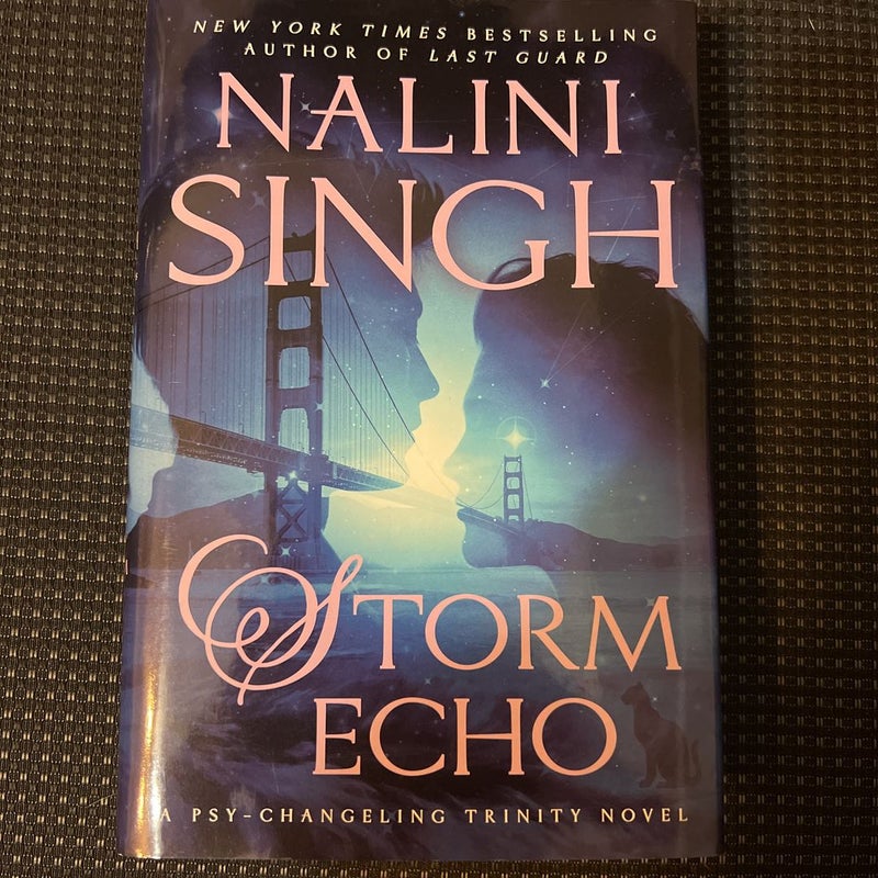 Storm Echo