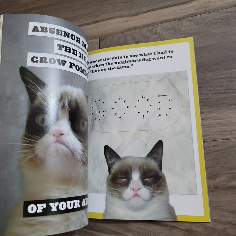 Grumpy Cat