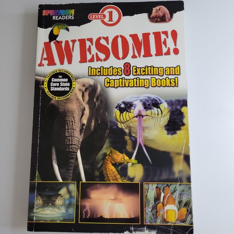 Awesome! Reader, Ages 3 - 6