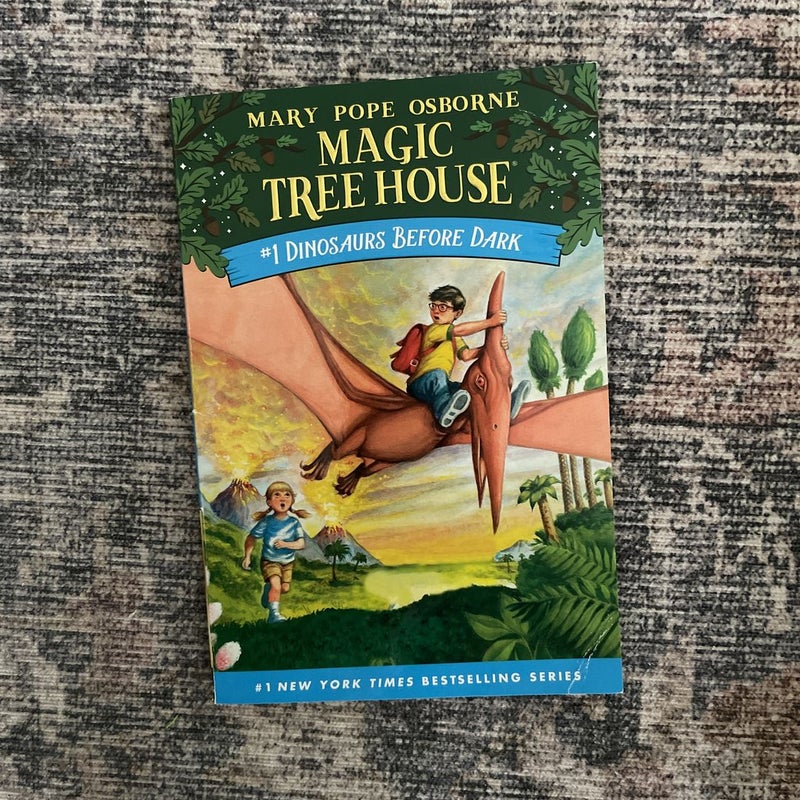 Set of Eleven Magic Treehouse Books
