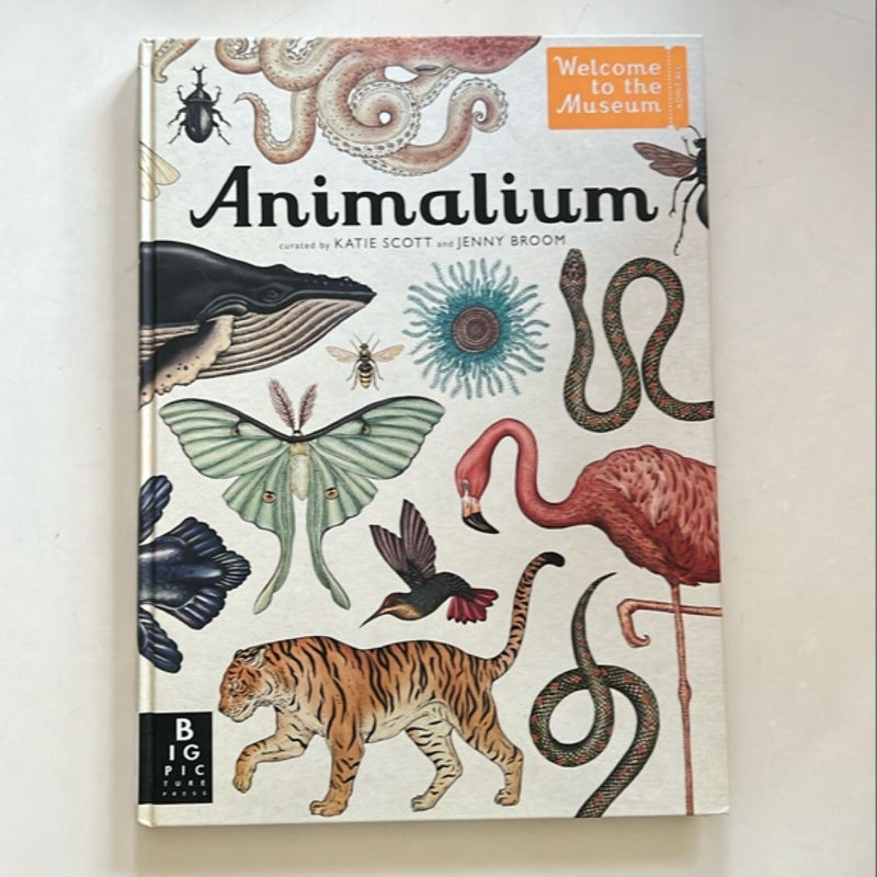 Animalium