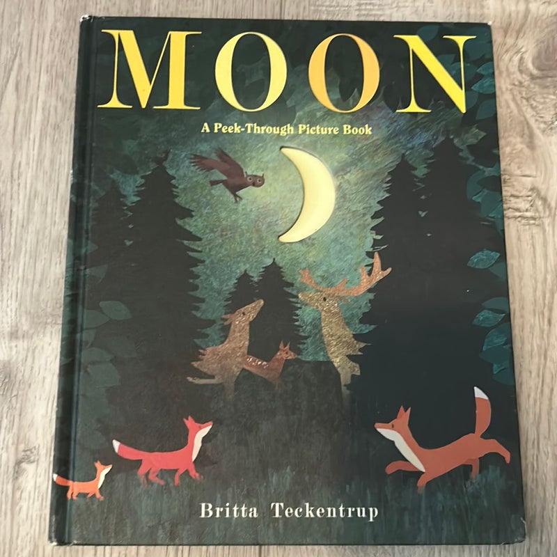 Moon: a Peek-Through Picture Book
